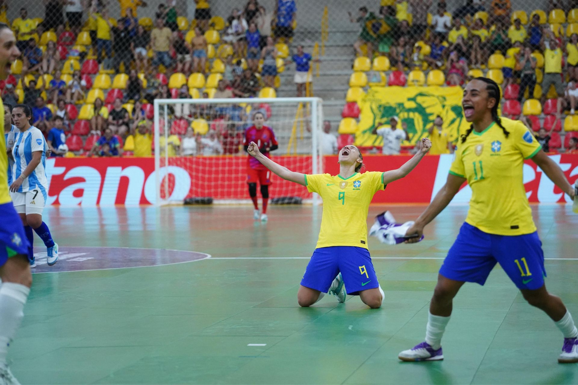 CONMEBOL Copa América™